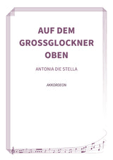 Auf dem Großglockner oben