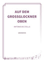 Auf dem Großglockner oben