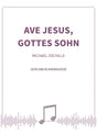 Ave Jesus, Gottes Sohn