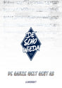 De Ganze Welt Geht Ab
