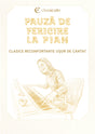 Pauză de fericire la pian