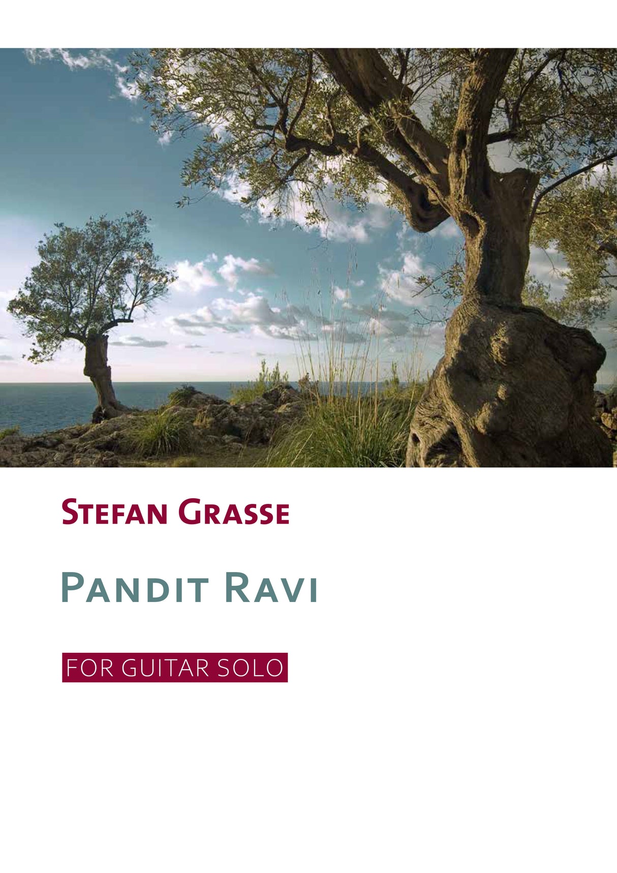 Pandit Ravi