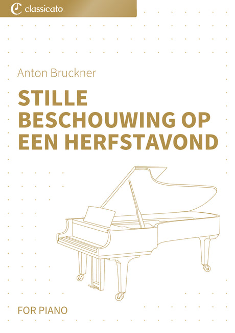 Stille Beschouwing op een Herfstavond