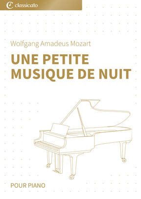 Une petite musique de nuit
