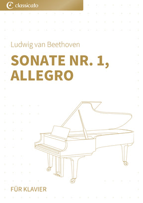Sonate Nr. 1, Allegro