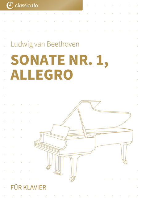 Sonate Nr. 1, Allegro