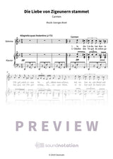 Die Liebe von Zigeunern stammet - Preview Page 1