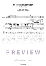 Im Feuerstrom der Reben - Preview Page 1