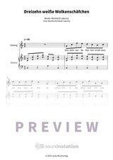 Dreizehn weiße Wolkenschäfchen - Preview Page 1
