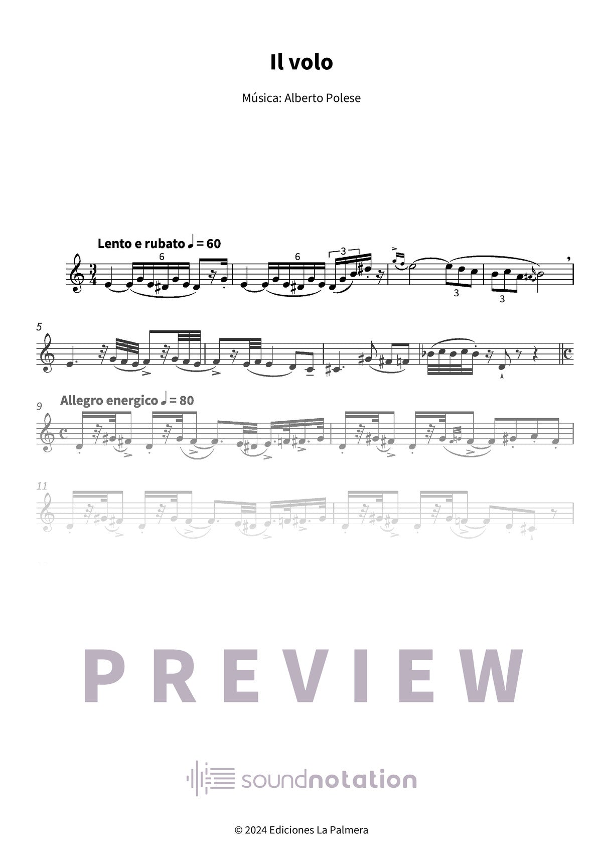 Il volo - Preview Page 1