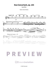 Duo Concertant - Preview Page 1