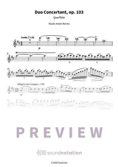 Duo Concertant - Preview Page 1