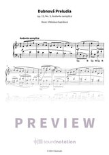 Dubnová Preludia - Preview Page 1