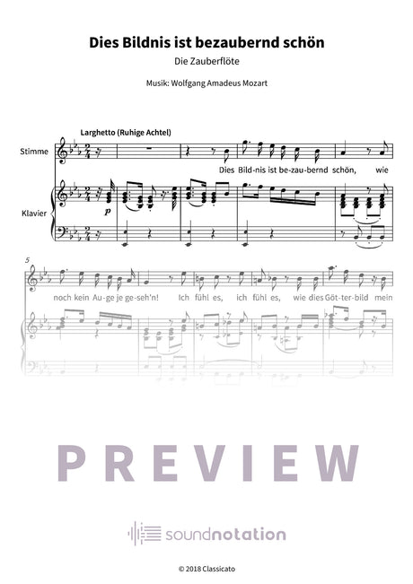 Dies Bildnis ist bezaubernd schön - Preview Page 1