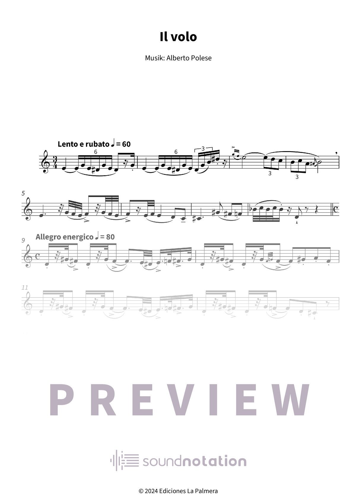 Il volo - Preview Page 1