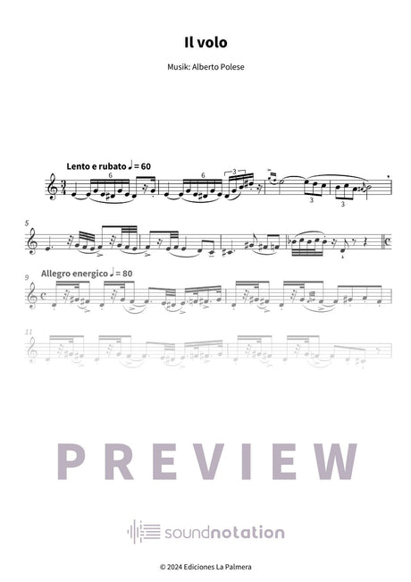 Il volo - Preview Page 1