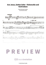 Ave Jesus, Gottes Sohn - Preview Page 1