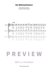 Der Weihnachtsstern - Preview Page 1