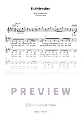 Eichhörnchen - Preview Page 1