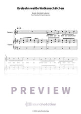Dreizehn weiße Wolkenschäfchen - Preview Page 1