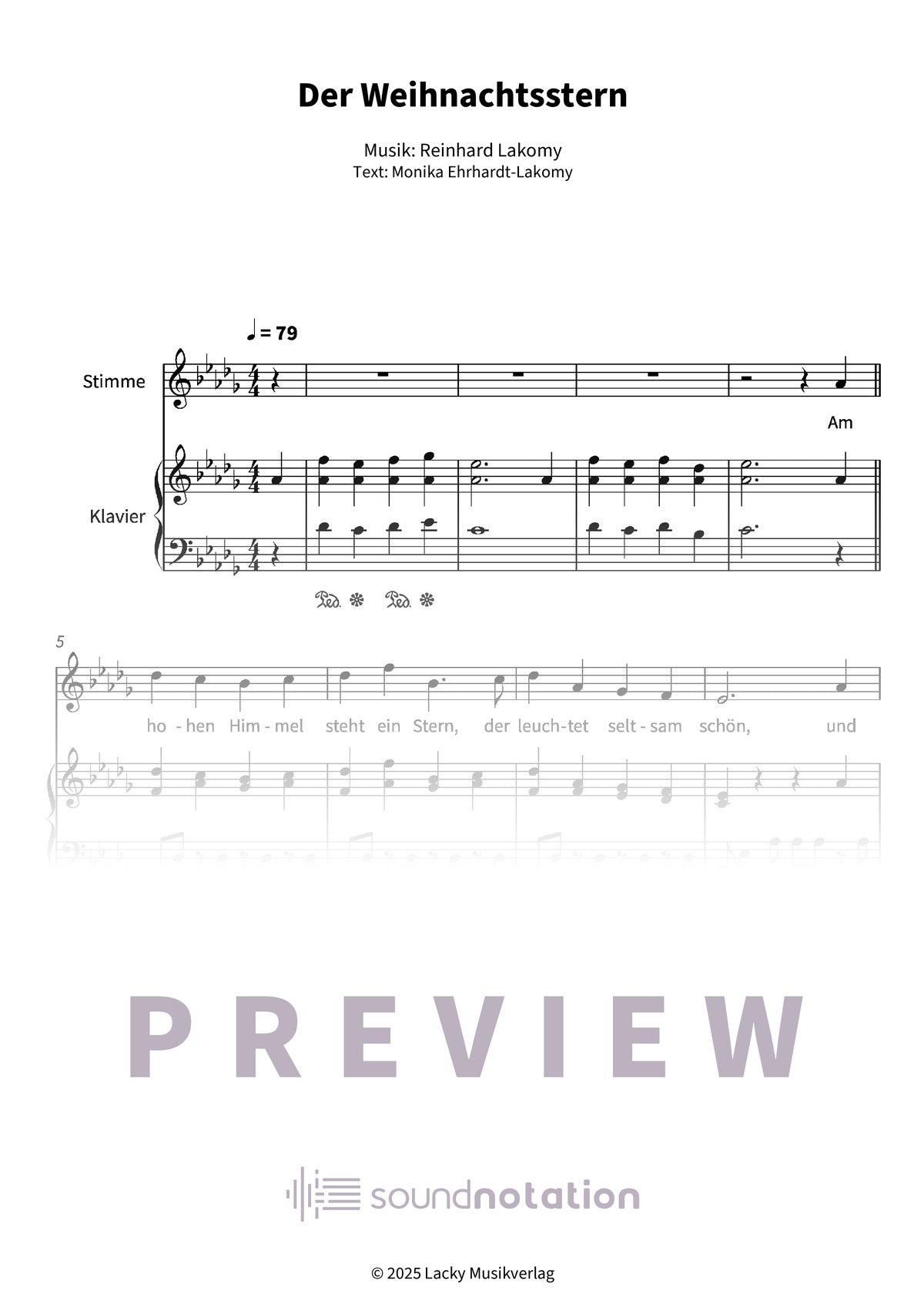 Der Weihnachtsstern - Preview Page 1