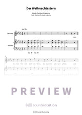 Der Weihnachtsstern - Preview Page 1