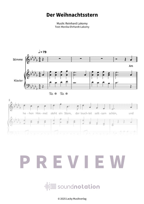 Der Weihnachtsstern - Preview Page 1