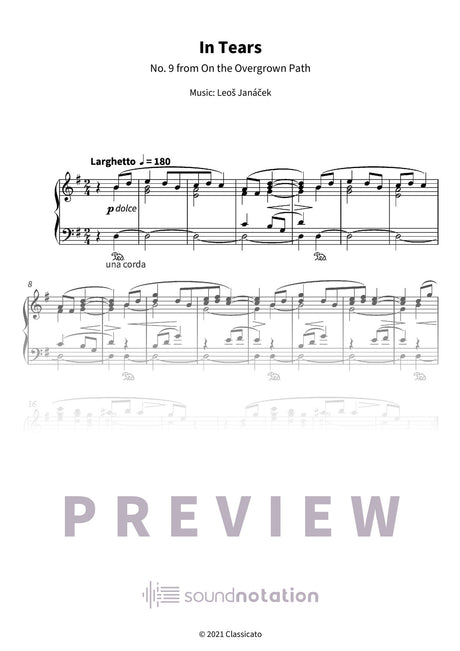 In Tears - Preview Page 1