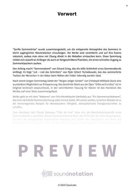 Sanfte Sommerbrise - Preview Page 1