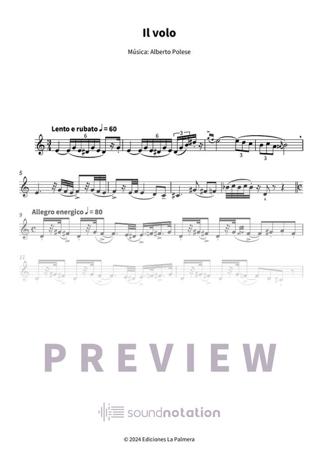 Il volo - Preview Page 1