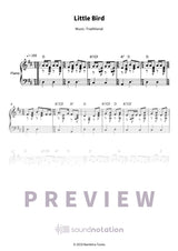 Little Bird - Preview Page 1
