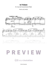 In Tränen - Preview Page 1