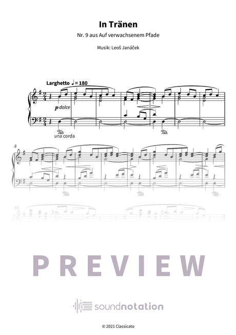 In Tränen - Preview Page 1