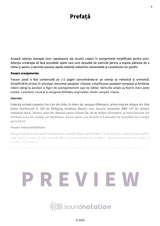 Pauză de fericire la pian - Preview Page 1