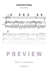Ţăranul E Pe Câmp - Preview Page 1