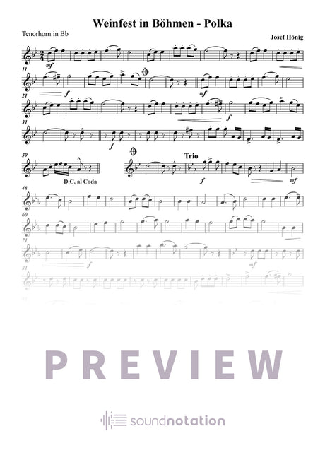 Weinfest in Böhmen - Preview Page 1