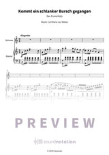 Kommt ein schlanker Bursch gegangen - Preview Page 1