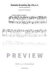 Gennaio: Al camino - Preview Page 1