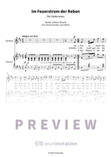 Im Feuerstrom der Reben - Preview Page 1