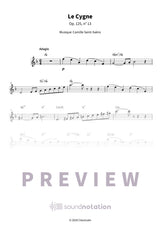 Le Cygne - Preview Page 1