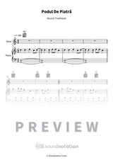 Podul De Piatră - Preview Page 1