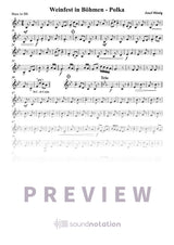 Weinfest in Böhmen - Preview Page 1
