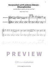 Kerzenschein wirft seidenes Glänzen - Preview Page 2