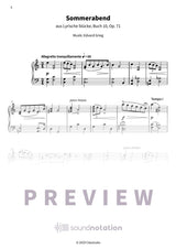 Sanfte Sommerbrise - Preview Page 2