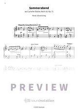 Sanfte Sommerbrise - Preview Page 2