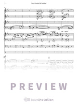 Cinco Minutos De Soledad - Preview Page 2