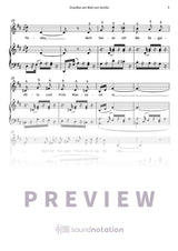 Draußen am Wall von Sevilla - Preview Page 2