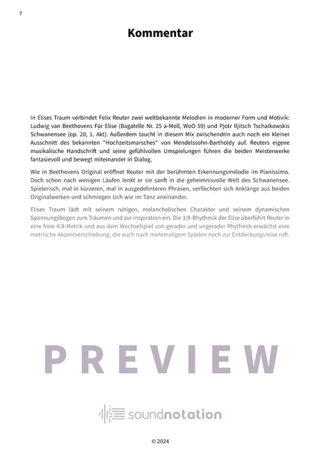 Elises Traum - Preview Page 2