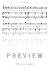 Sterne aus Schnee - Preview Page 2