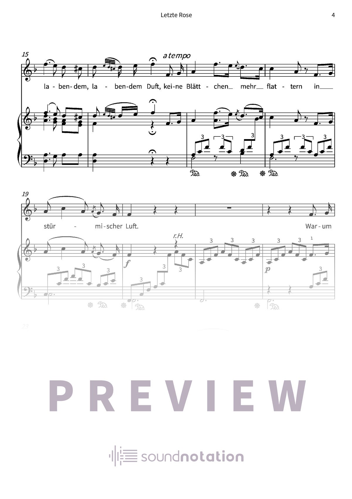 Letzte Rose - Preview Page 2